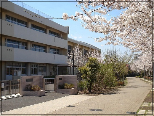 兵頭功海　中学